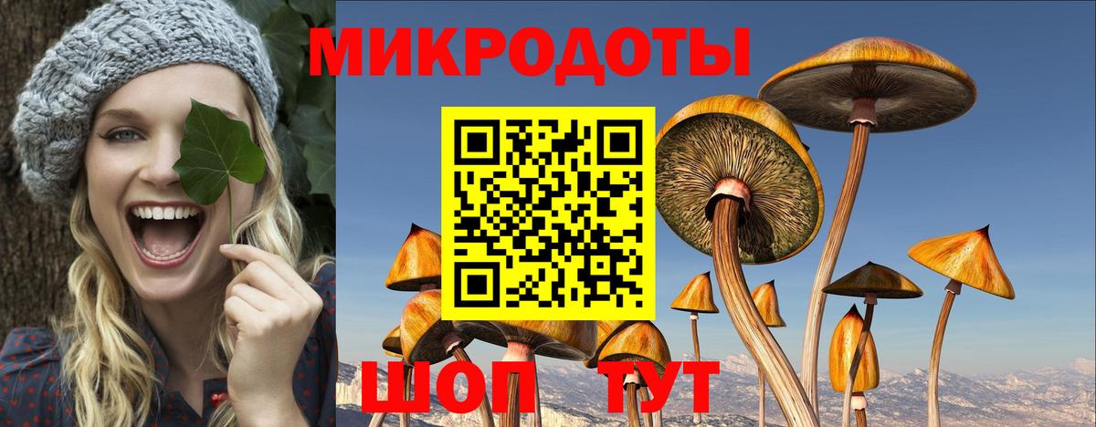 Псилоцибиновые грибы Magic Shrooms Югорск
